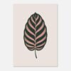 13501f4c-279f-45b5-923b-62cfc1c2c00a-1.jpg Affiche Calathea, tirage botanique minimaliste à encadrer, format A4 à A1