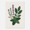 Affiche Composition herbes aromatiques, tirage botanique contemporain à encadrer, format A4 à A1