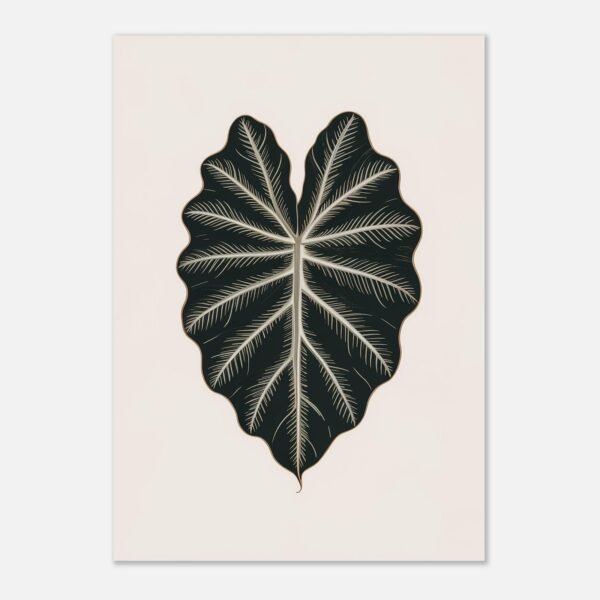 Affiche Colocasia, tirage botanique japandi à encadrer, format A4 à A1