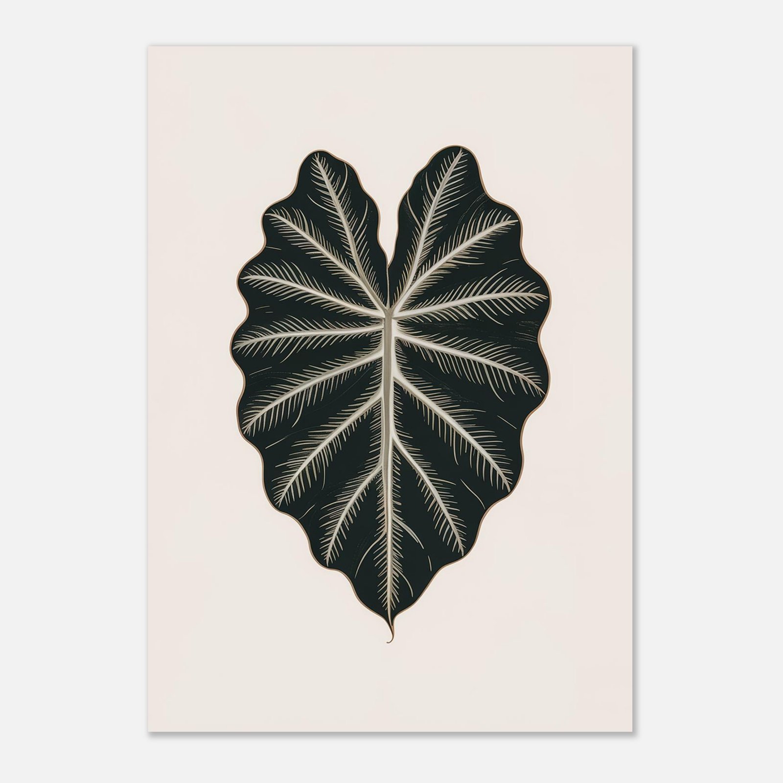 Affiche Colocasia, tirage botanique japandi à encadrer, format A4 à A1