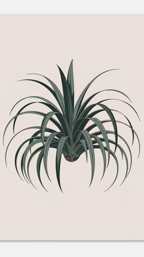 Affiche Dracaena, tirage botanique minimaliste à encadrer, format A4 à A1