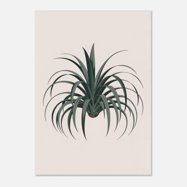 Affiche Dracaena, tirage botanique minimaliste à encadrer, format A4 à A1