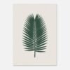 20413471-cb6e-4445-8151-90ce8c4e0331-1.jpg Affiche Cycas, tirage botanique minimaliste à encadrer, format A4 à A1