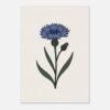Affiche Bleuet, tirage botanique minimaliste à encadrer, format A4 à A1