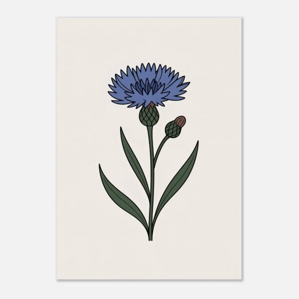 Affiche Bleuet, tirage botanique minimaliste à encadrer, format A4 à A1