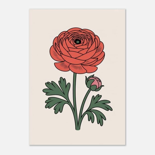 Affiche Renoncule, tirage botanique minimaliste à encadrer, format A4 à A1