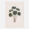 Affiche Pilea, tirage botanique japandi à encadrer, format A4 à A1