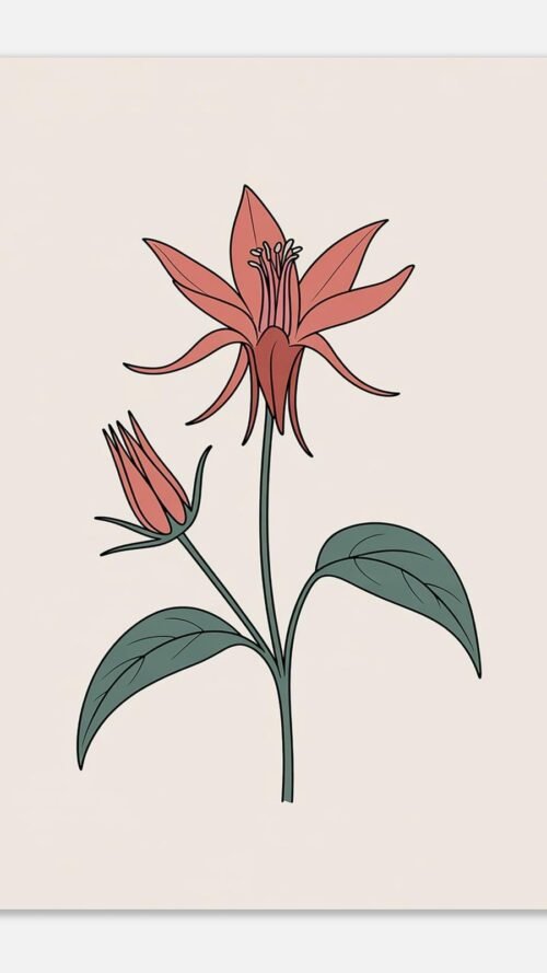 49702ac0-7fe8-4df1-b552-c2a82197b2e2-1.jpg Affiche Ancolie, tirage botanique minimaliste à encadrer, format A4 à A1