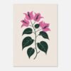 Affiche Bougainvillier, tirage botanique minimaliste à encadrer, format A4 à A1