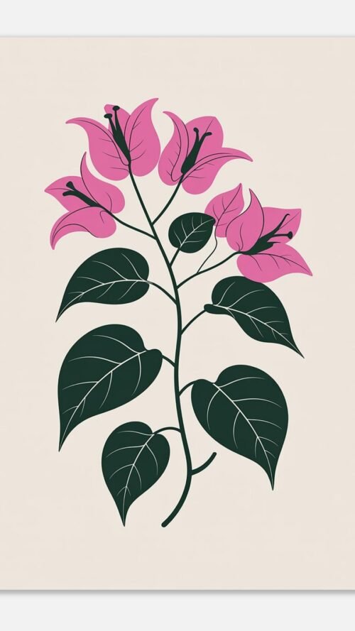 Affiche Bougainvillier, tirage botanique minimaliste à encadrer, format A4 à A1