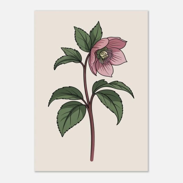 Affiche Hellébore, tirage botanique minimaliste à encadrer, format A4 à A1