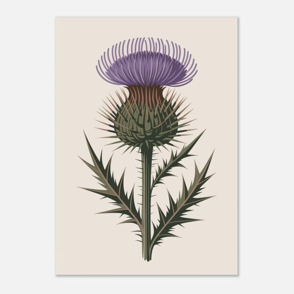 Affiche Chardon, tirage botanique contemporain à encadrer, format A4 à A1