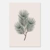 Affiche Pin, tirage botanique minimaliste à encadrer, format A4 à A1