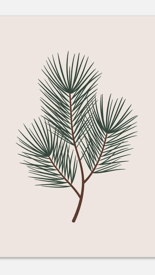 Affiche Pin, tirage botanique minimaliste à encadrer, format A4 à A1