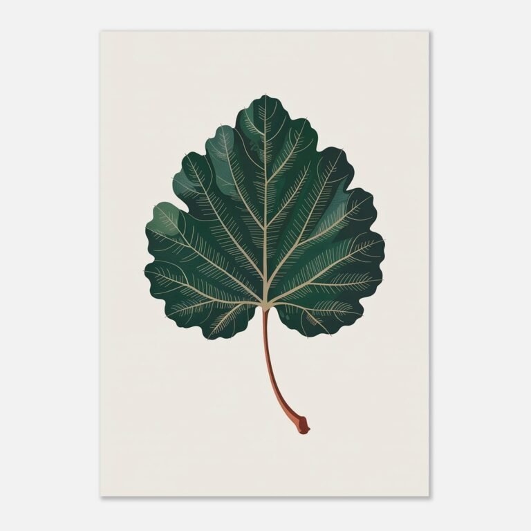 Affiche Peuplier, tirage botanique contemporain à encadrer, format A4 à A1