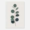 Affiche Eucalyptus, tirage botanique minimaliste à encadrer, format A4 à A1