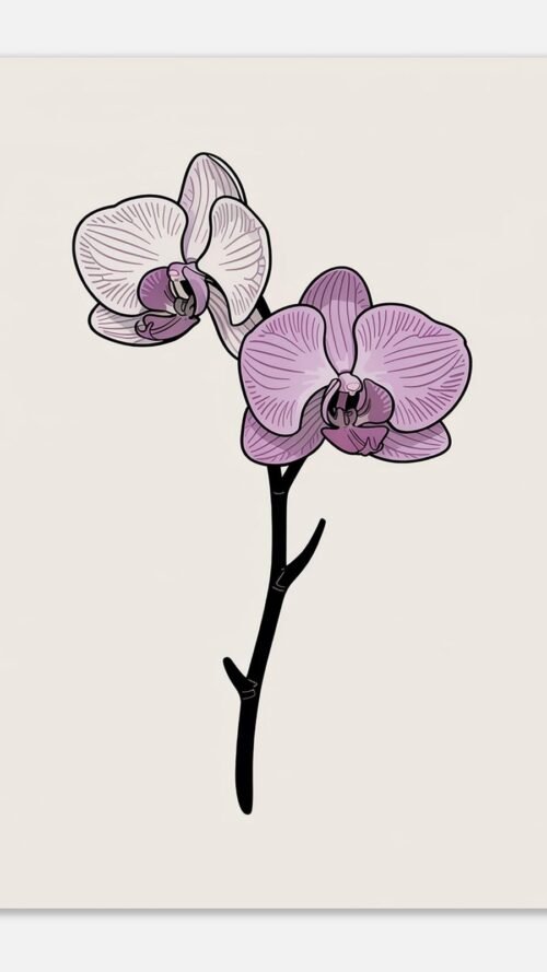 Affiche Orchidée, tirage botanique minimaliste à encadrer, format A4 à A1