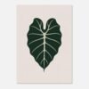 Affiche Alocasia, tirage botanique minimaliste à encadrer, format A4 à A1