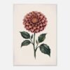 Affiche Dahlia, tirage botanique japandi à encadrer, format A4 à A1