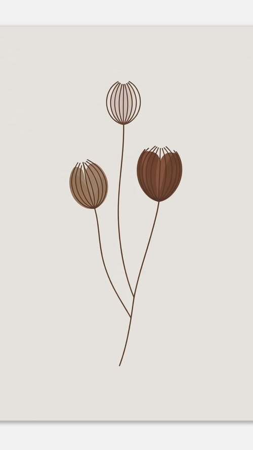 8867701c-cc13-4b57-8a0b-66894b58e4cb-1.jpg Affiche Composition capsules, tirage botanique minimaliste à encadrer, format A4 à A1