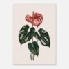 Affiche Anthurium, tirage botanique japandi à encadrer, format A4 à A1