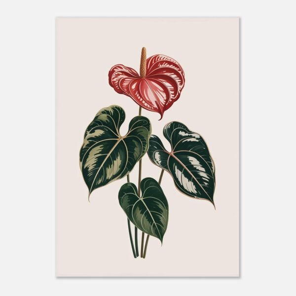 Affiche Anthurium, tirage botanique japandi à encadrer, format A4 à A1
