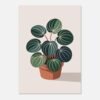 95aee568-22c4-467b-a6c4-d825906888f5-1.jpg Affiche Peperomia, tirage botanique contemporain à encadrer, format A4 à A1