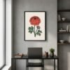 Affiche murale Renoncule accrochée au mur, tirage botanique minimaliste