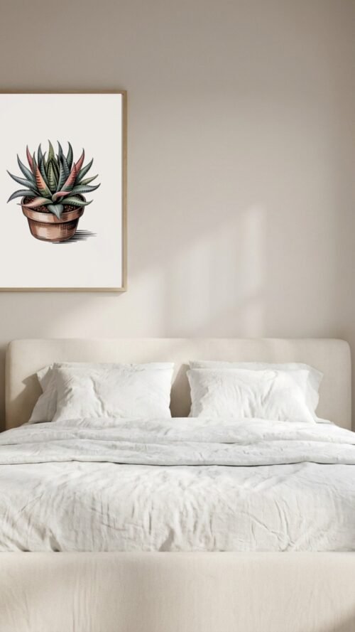 Affiche Haworthia – tirage japandi encadré, en situation dans un intérieur