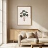 Affiche murale Pilea accrochée au mur, tirage botanique japandi