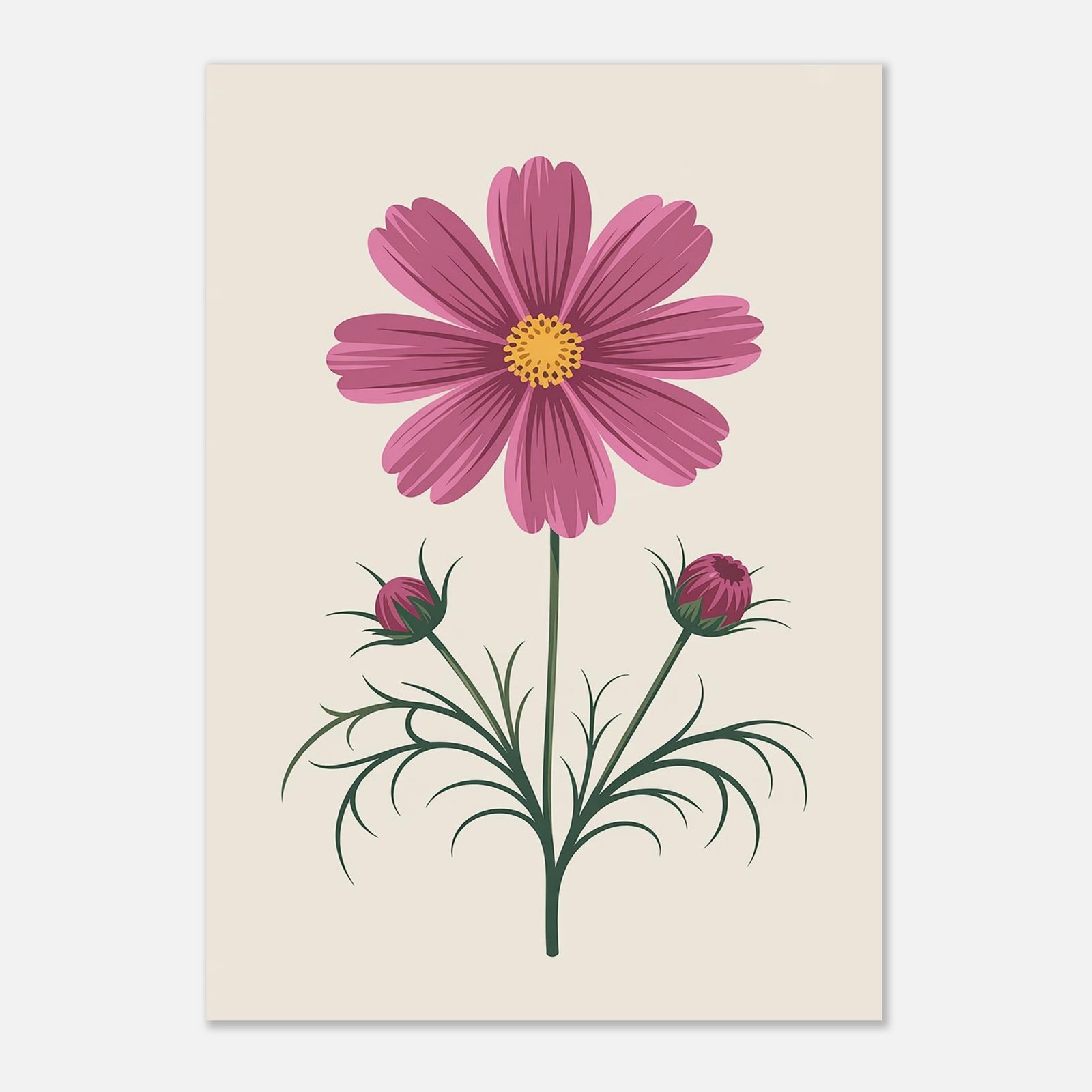 Affiche botanique contemporaine représentant des cosmos