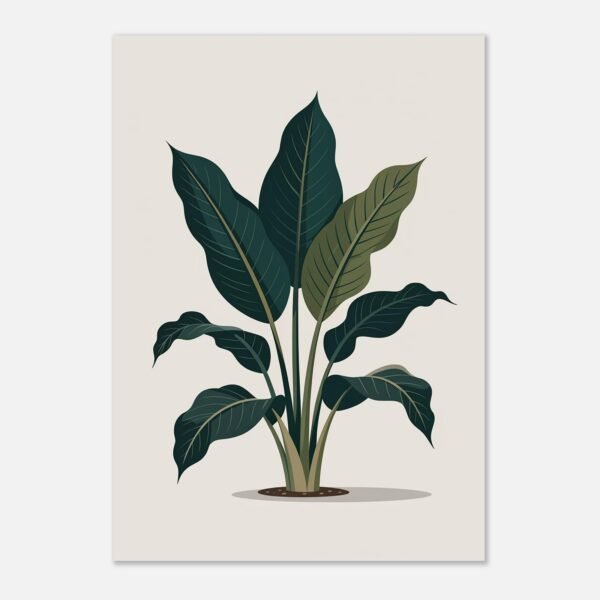 a51de082-1cbd-4dda-897e-775d77adc43c-1.jpg Affiche Aspidistra, tirage botanique contemporain à encadrer, format A4 à A1