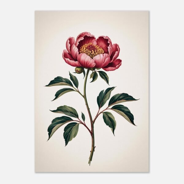 Affiche Pivoine, tirage botanique japandi à encadrer, format A4 à A1