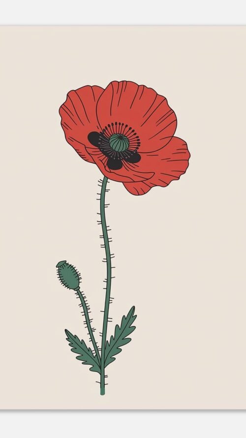 Affiche Coquelicot, tirage botanique minimaliste à encadrer, format A4 à A1