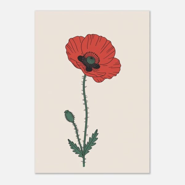 Affiche Coquelicot, tirage botanique minimaliste à encadrer, format A4 à A1