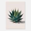 Affiche Agave, tirage botanique contemporain à encadrer, format A4 à A1