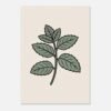 Affiche Menthe, tirage botanique minimaliste à encadrer, format A4 à A1