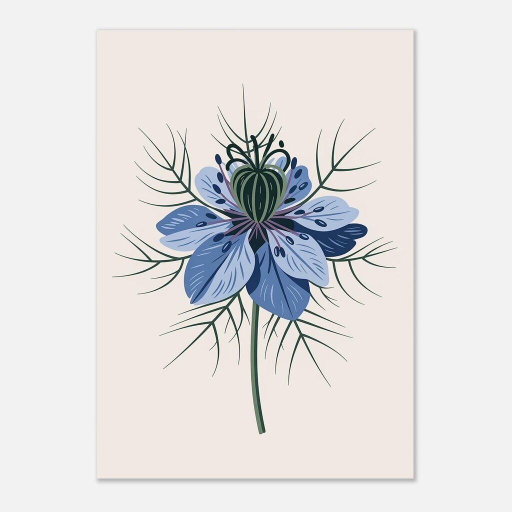 Affiche de nigelle, collection Botanique Contemporaine