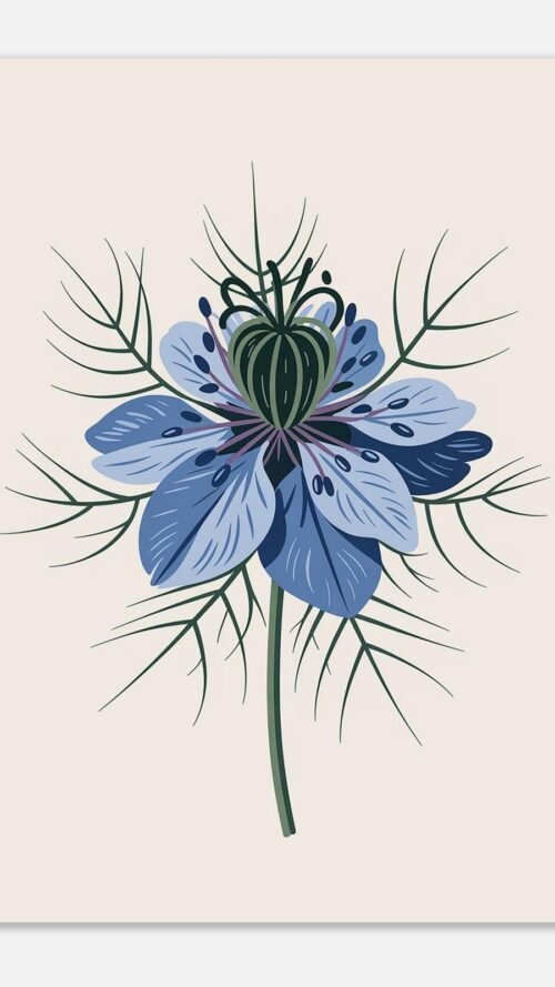 Affiche Nigelle, tirage botanique contemporain à encadrer, format A4 à A1