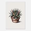 Affiche Haworthia, tirage botanique japandi à encadrer, format A4 à A1