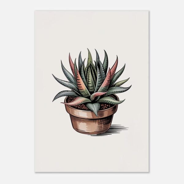 Affiche Haworthia, tirage botanique japandi à encadrer, format A4 à A1