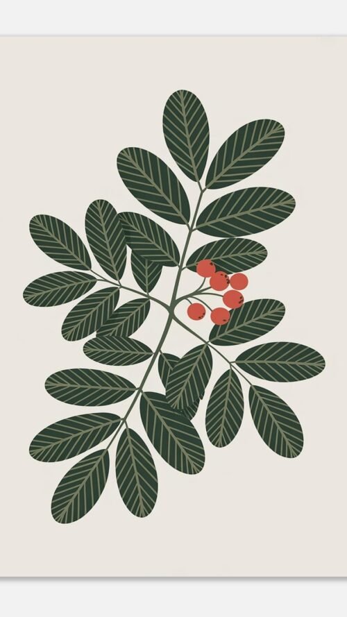 Affiche Sorbier, tirage botanique contemporain à encadrer, format A4 à A1